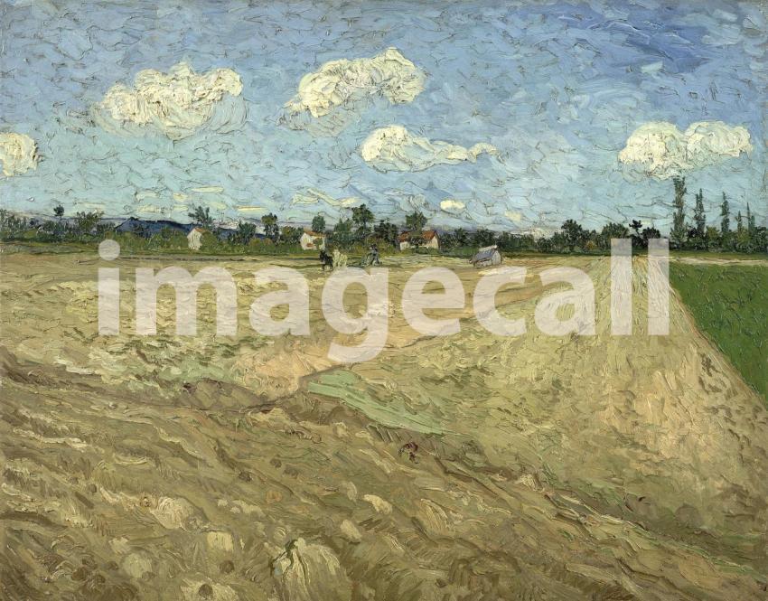 Van Gogh 82