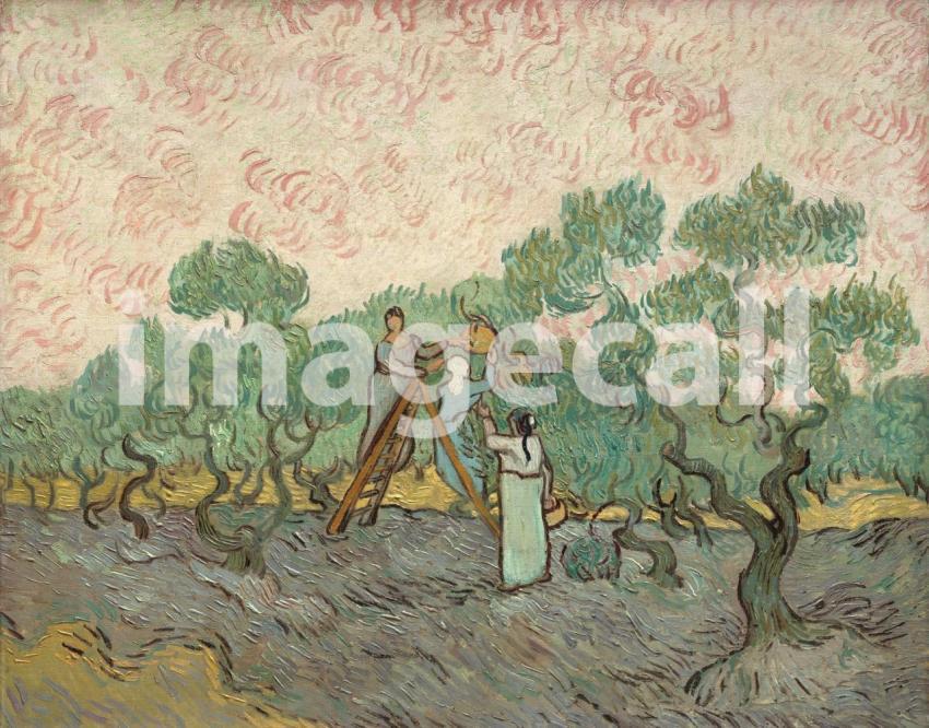 Van Gogh 94