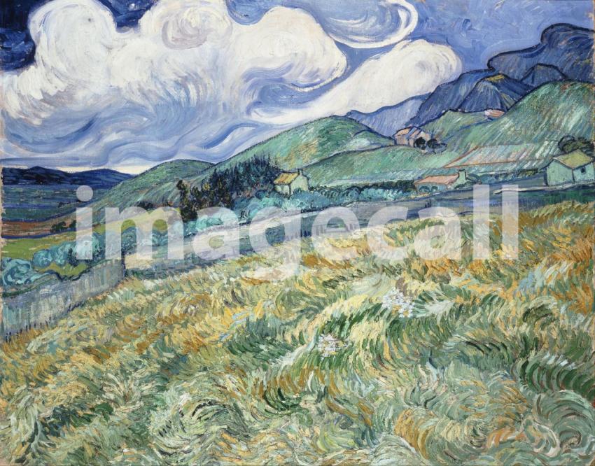 Van Gogh (132)
