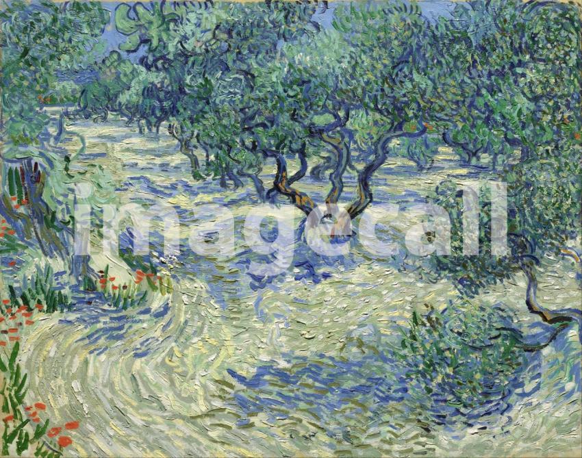Van Gogh 30