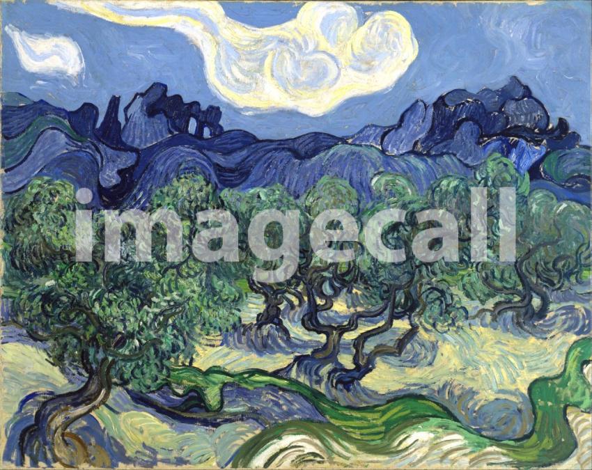 Van Gogh 48