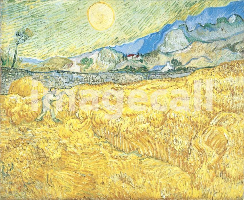 Van Gogh 70