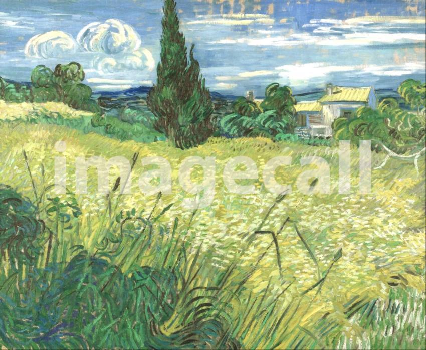 Van Gogh 38