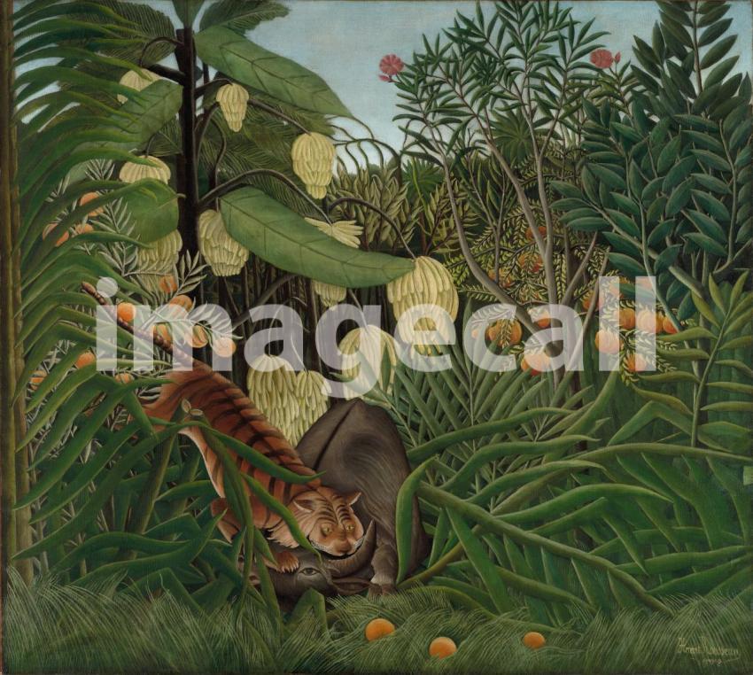 Fight between a Tiger and a Buffalo (1908)