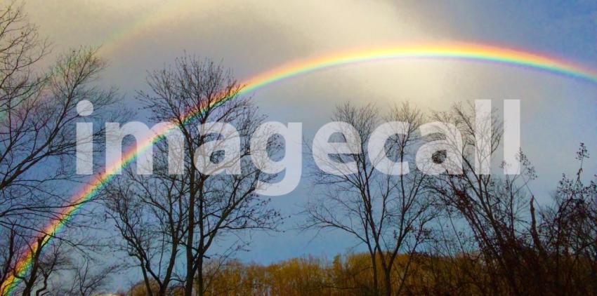 Morning rainbow t20 neYKK8