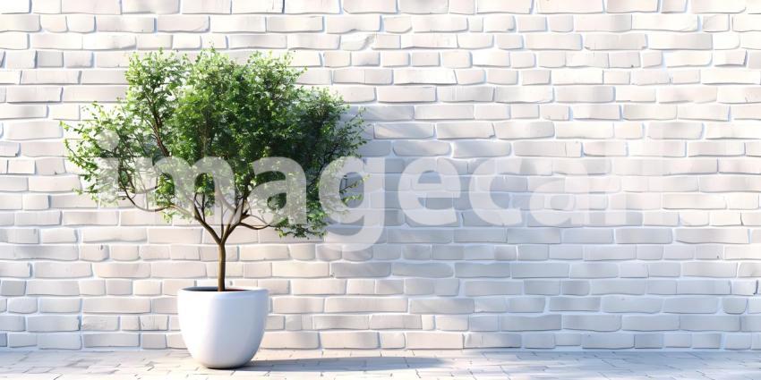 Tree in pot standing at white brick wall background - Ai Generated