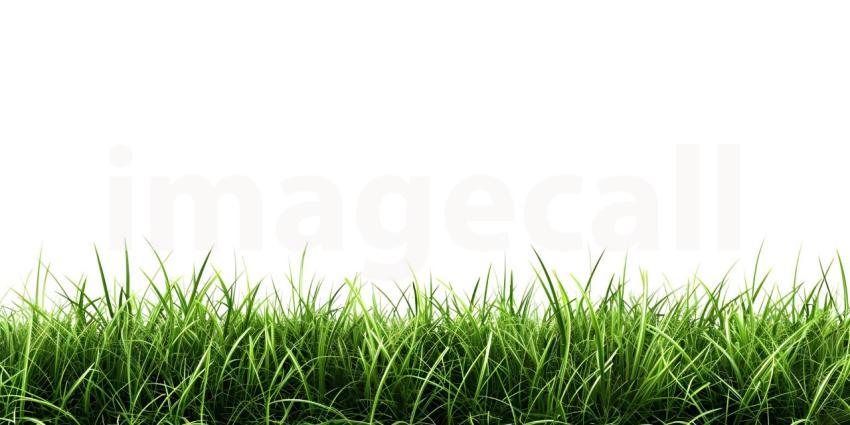 White Background with Grass Footer, Grass Footer on White Background - Ai Generated