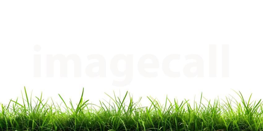 White Background with Grass Footer, Grass Footer on White Background - Ai Generated