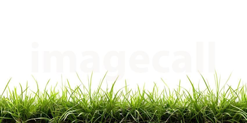 White Background with Grass Footer, Grass Footer on White Background - Ai Generated