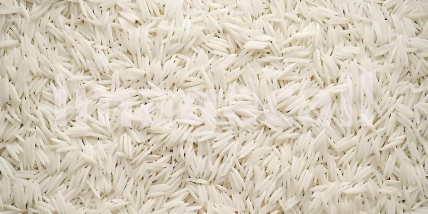 Rice grains background, Close up of rice grains background, Background of rice grains - Ai Generated