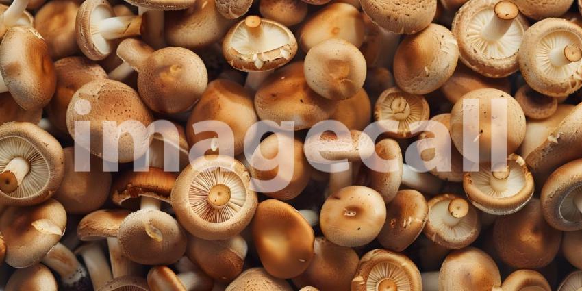 Overhead view of mushrooms background - Ai Generated
