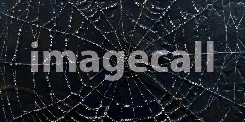 Black Lace Spider Web background - Ai Generated