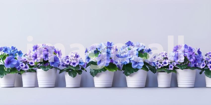 Blue and Violet Flowers in Pots in a row background - Ai Generated