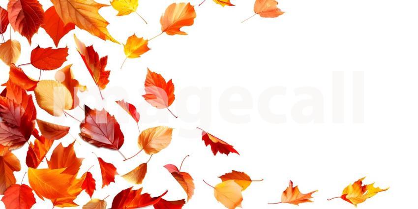 Fall Autumn Leaves on white background with copy space for text background - Ai Generated