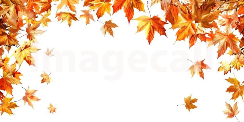 Fall Autumn Leaves on white background with copy space for text background - Ai Generated