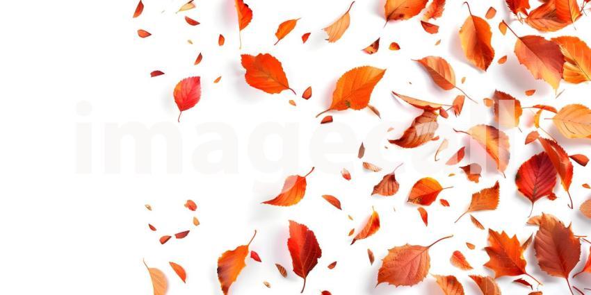 Fall Autumn Leaves on white background with copy space for text background - Ai Generated