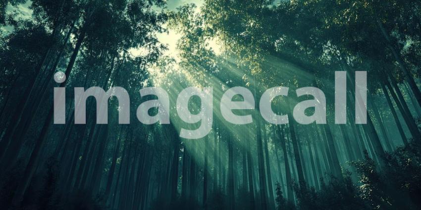 Sunbeams Filtering Through a Lush Green Forest