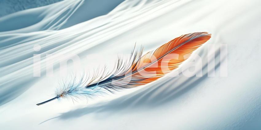 Stunning Feather in Snow Winter Abstract Art Background