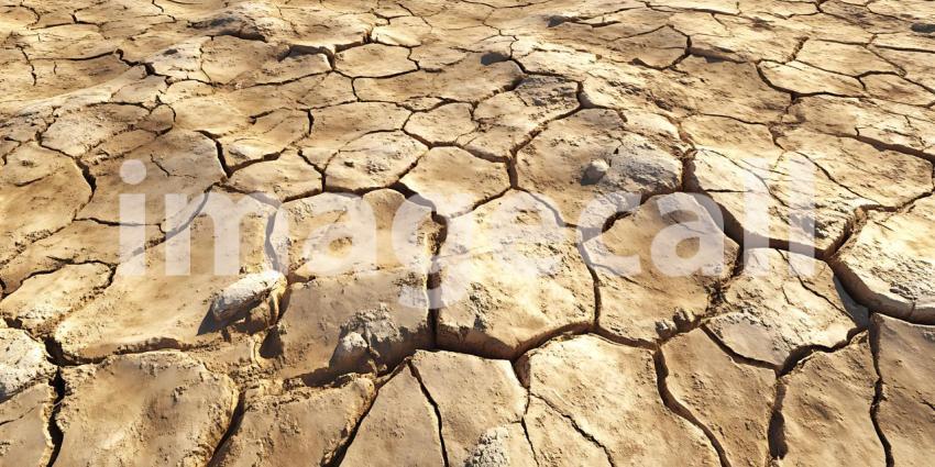 Cracked Earth Texture Dry Soil Background Image