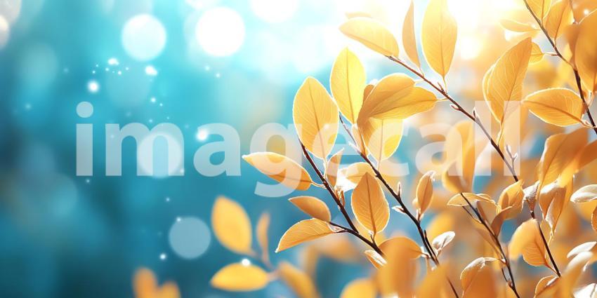 Autumn Leaves Golden Branches and Blue Bokeh Background  Nature
