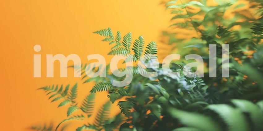 Vibrant Green Fern Fronds Against a Warm Orange Background
