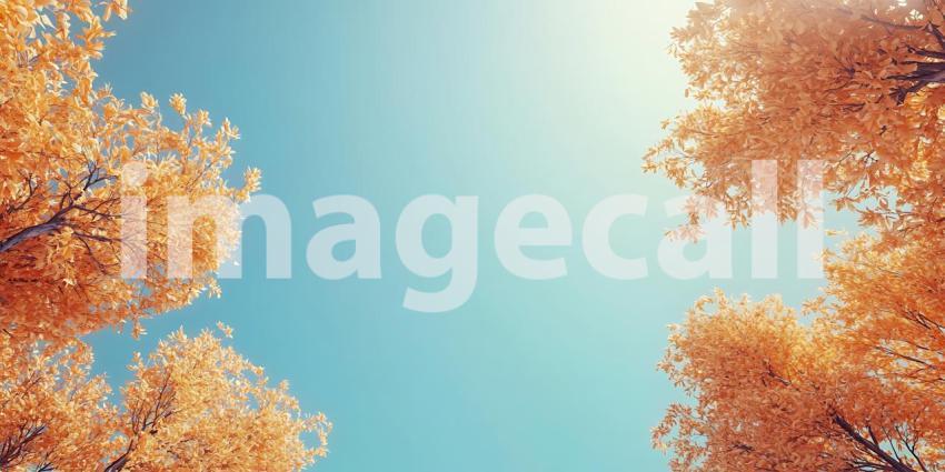 Golden Canopy Stunning Autumn Treetops Against a Vivid Blue Sky