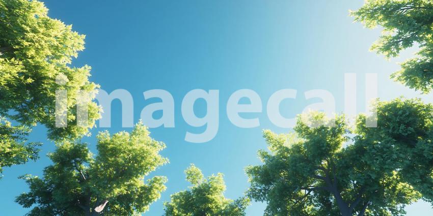 Stunning Canopy Vibrant Green Leaves Against a Bright Blue Sky