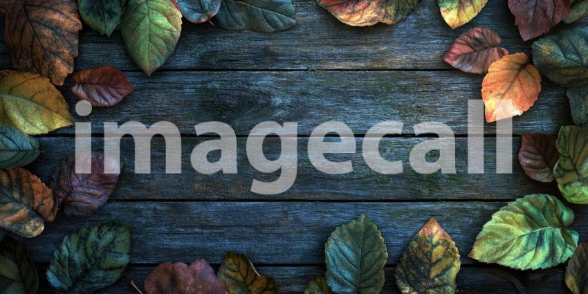 Different colored leaves on a weathered wooden surface background, vibrant autumn leaves in shades of red, orange, and yellow scattered across a rustic wooden backdrop, evoking a warm, seasonal feel with a touch of nature.