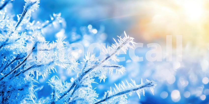 Freezy cold winter ice texture background, intricate patterns of frost and ice covering a surface, with delicate crystals and a frosty sheen, evoking a chilly, frozen atmosphere of a cold winter day.