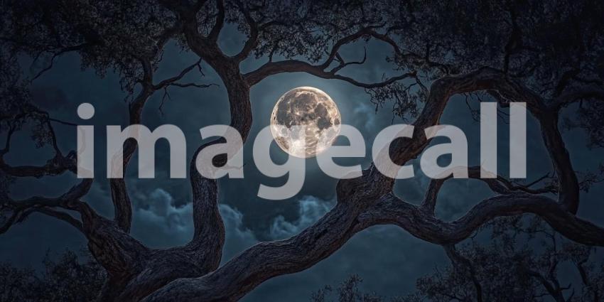 Full moon through twisted tree branches at night background, the glowing moon visible through the gnarled and intricate branches of a tree, casting soft light across the dark sky, creating a mysterious and atmospheric scene.