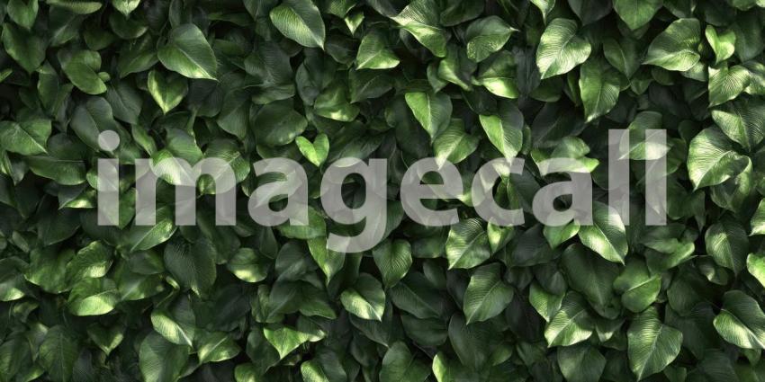 Green plants and leaves wall background, a lush and vibrant wall covered with a variety of plants and leaves in different shades of green, creating a natural, refreshing, and serene atmosphere with a touch of nature indoors.