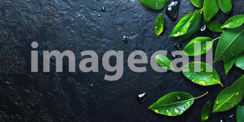 Natural leaves with water droplets on a dark textured surface background, vibrant green leaves adorned with glistening water droplets, set against a rich, textured dark surface, creating a fresh and serene natural scene with a touch of elegance.