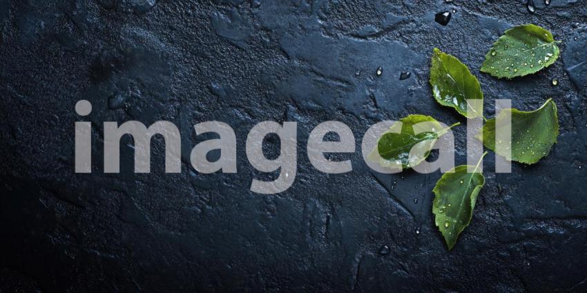 Natural leaves with water droplets on a dark textured surface background, vibrant green leaves adorned with glistening water droplets, set against a rich, textured dark surface, creating a fresh and serene natural scene with a touch of elegance.