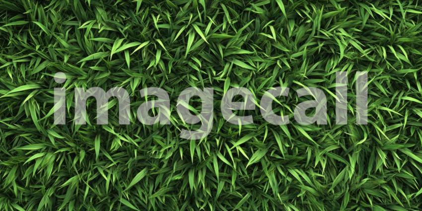 Realistic Long Green Grass Background, Lush and Vibrant Blades of Grass Creating a Fresh, Natural Scene