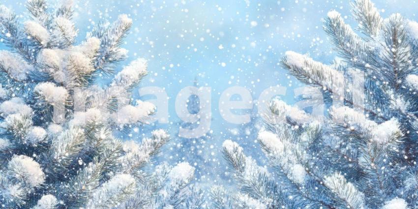 Snow-covered pine trees background, tall pine trees blanketed with fresh snow, creating a peaceful and serene winter scene, with soft, white snowflakes gently resting on the branches, evoking the beauty and stillness of a snowy forest.