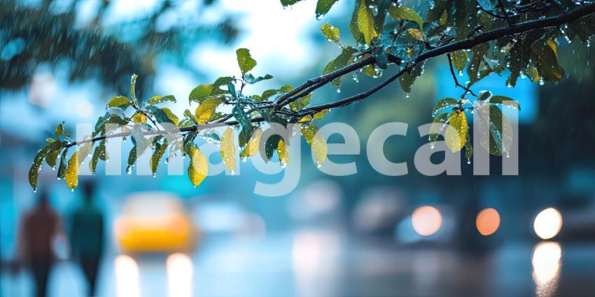 Winter rainy monsoon season with green trees, raindrops on branches, and a blurred street background, a peaceful scene with rain gently falling on lush green foliage, with blurred city streets in the distance, evoking a calm, rainy atmosphere.