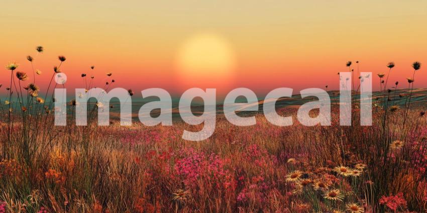 Serene Sunset Over Rolling Hills: Golden Grass and Scattered Trees Bathed in the Warm Hues of an Orange and Yellow Sky