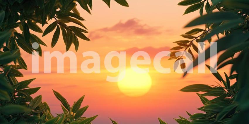 A field of lush green crops basks in the warm glow of the setting sun, creating a picturesque scene of rural tranquility