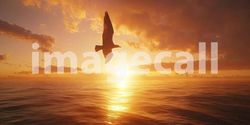 A Fiery Farewell: Silhouetted against a fiery sunset, a flock of birds takes flight, their wings spread wide as they soar into the vibrant sky, creating a scene of freedom and boundless possibility