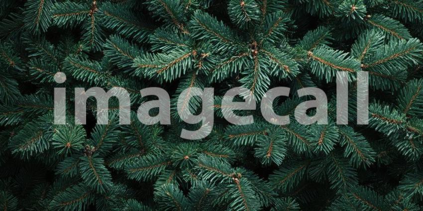 A close-up of a snow-dusted Christmas tree, illuminated by warm fairy lights, capturing the magic and wonder of the holiday season