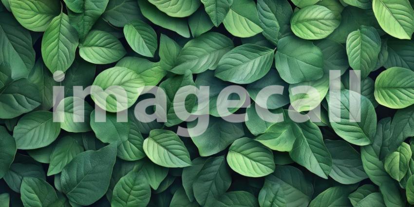 A Lush Tapestry of Emerald Green, Where Nature's Palette Paints a Scene of Unbridled Vitality