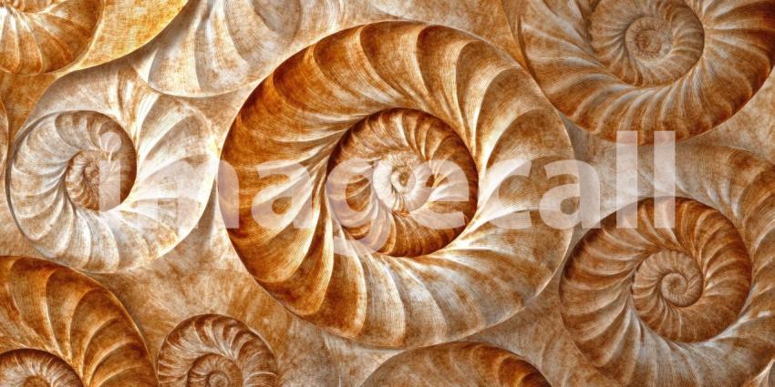 Nature's Abstract Art: A Kaleidoscope of Colors and Patterns in a Cut and Polished Ammonite