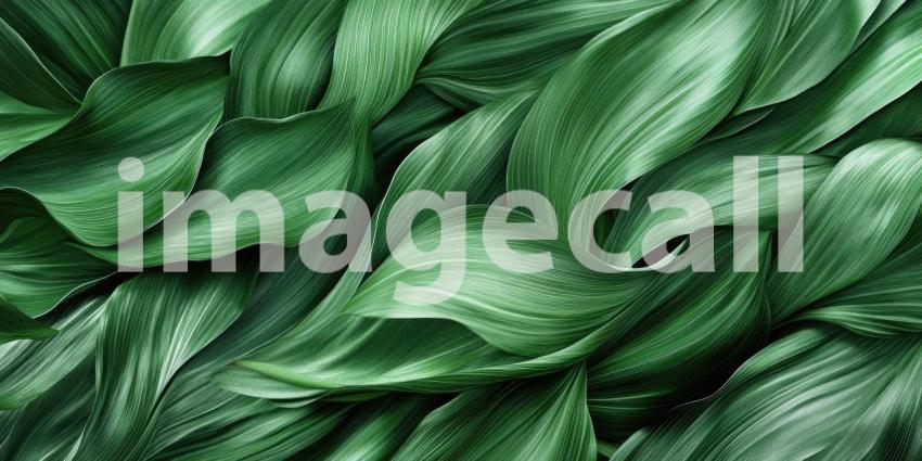 A Verdant Carpet of Lush Green Leaves, Intertwined and Illuminated