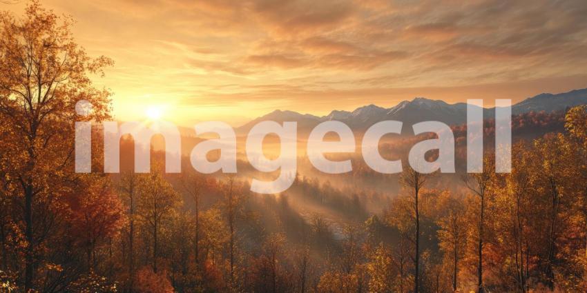 A Golden Dawn Illuminates a Misty Valley, Painting the Autumn Foliage in Warm Hues