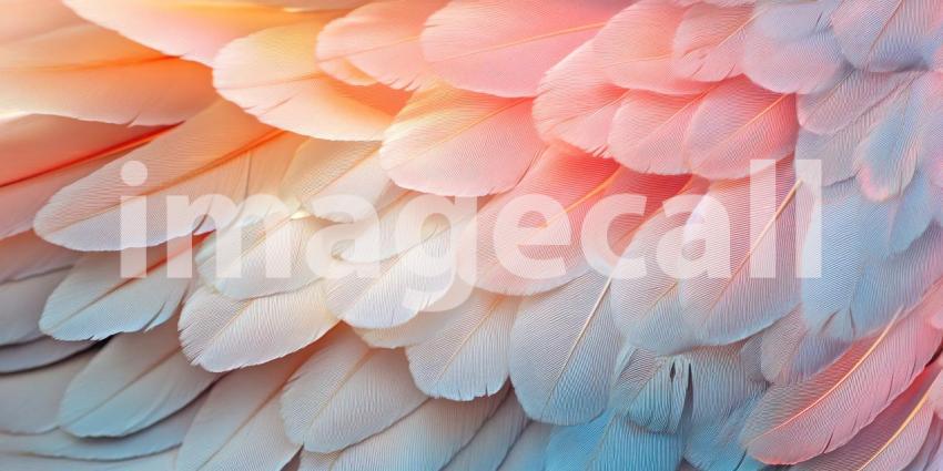 A Feathery Tapestry: A Close-up of Soft, Pastel-Colored Feathers, Creating a Dreamy Texture