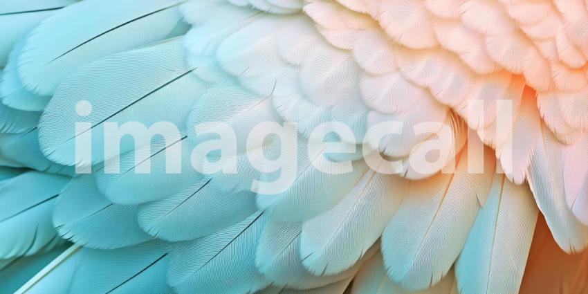 A Feathery Tapestry: A Close-up of Soft, Pastel-Colored Feathers, Creating a Dreamy Texture