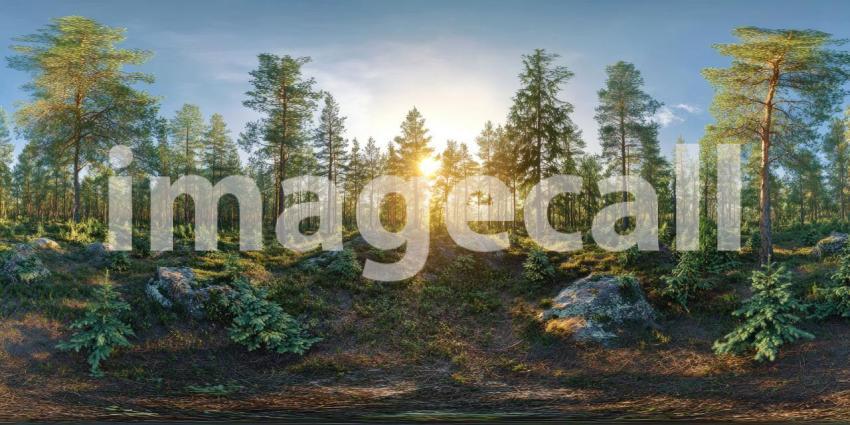 A panoramic view of a sun-dappled forest, with tall pine trees reaching towards a vibrant sky, creating a sense of peace and tranquility
