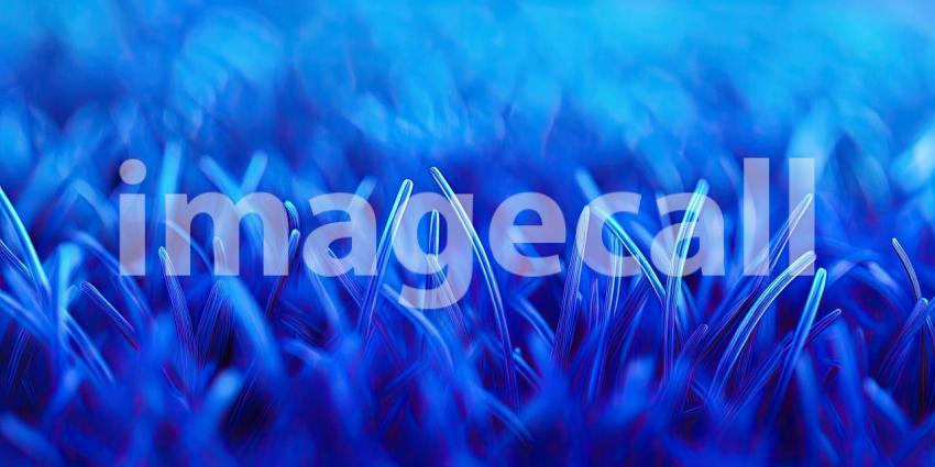 A field of lavender flowers swaying gently in the summer breeze, bathed in warm sunlight