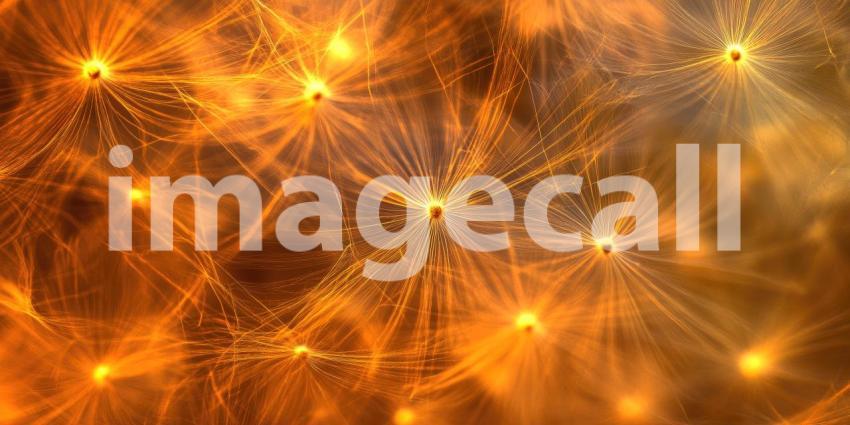 A Celestial Seed: Where Wishes Take Flight on Wings of Light