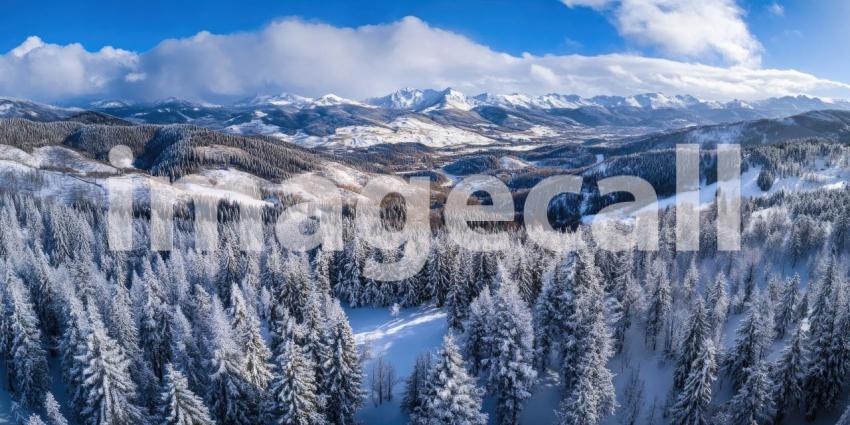 Winter Wonderland: A Breathtaking Panorama of Snow-Dusted Mountains and Evergreen Forests Beneath a Clear Blue Sky